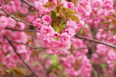 南京秦淮区7线下个人借款平台一站式服务，轻松解决资金难题