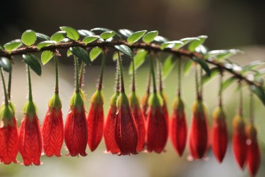 南京秦淮区7零用贷短借：轻松解决临时资金需求