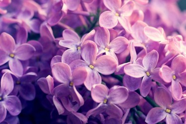 南京秦淮区7企业急用钱贷款攻略：快速融资解燃眉之急